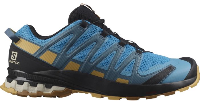 Salomon XA Pro 3D v8 herenwandelschoen