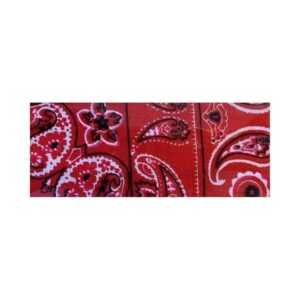 red-paisley