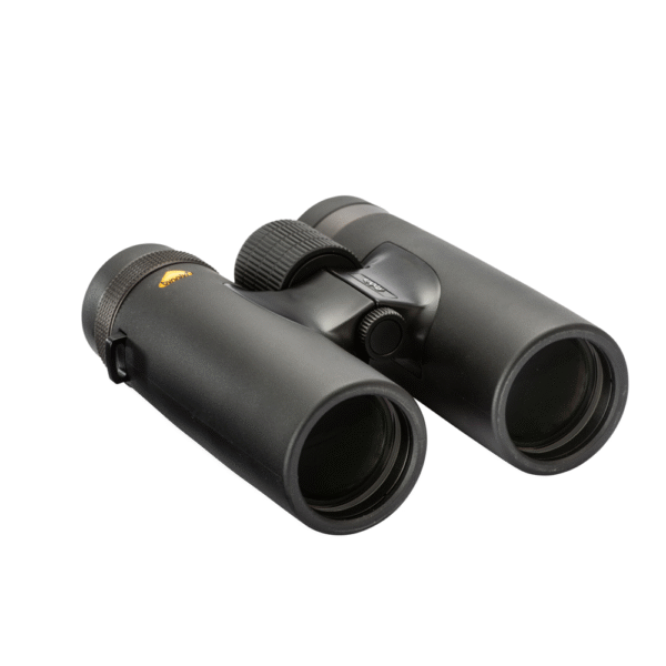 036203BD-9AE6-4B59-8EB9-C31C10FBF6F9