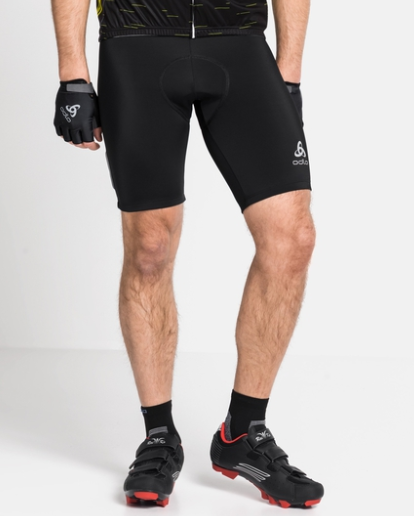 12FFE793-3F26-4868-B2B7-F4B2E12322AA