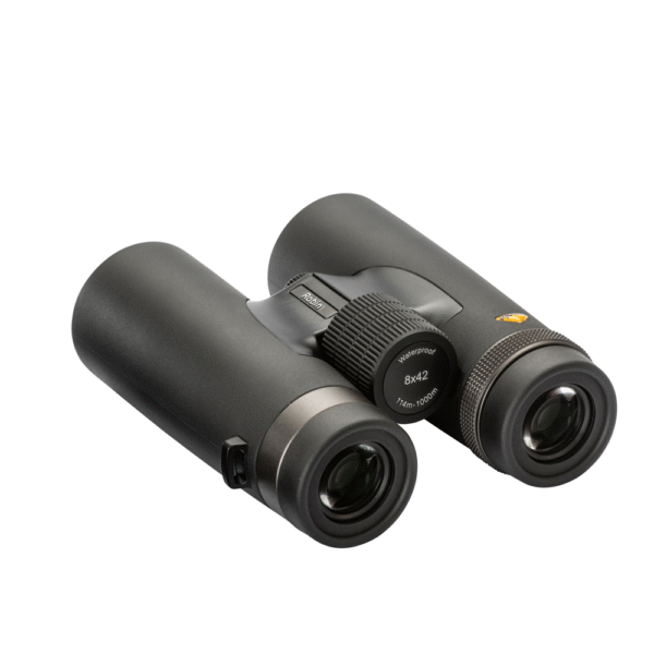 18B34618-E754-4D29-A541-CDD86A2D8E59