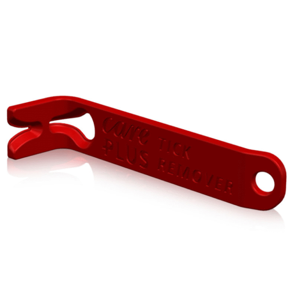 2C2E1631-D684-4C86-925E-BA1D2D478C0D