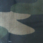 2FB5FF28-D5AA-4602-BD91-019813062B06