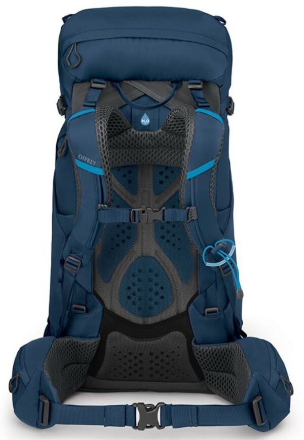 31513AF5-9397-461F-823A-AAE553B4F228