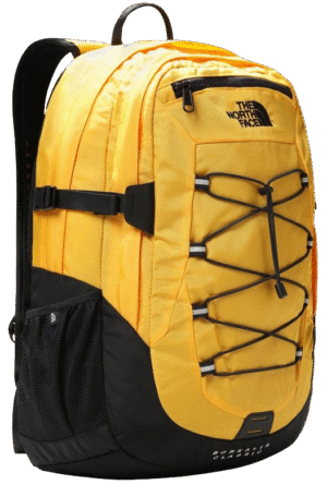 Summit Gold/TNF Black