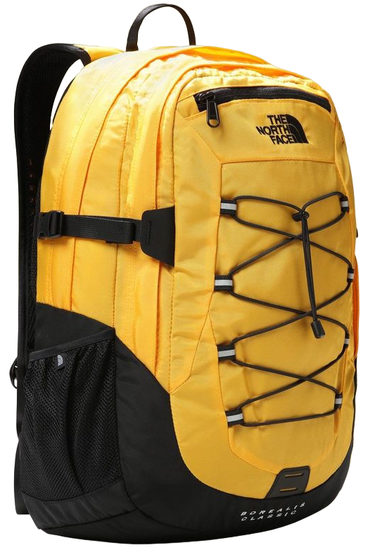 3C6FE9DB-3BBF-4D09-9812-E3765AE6DCC5