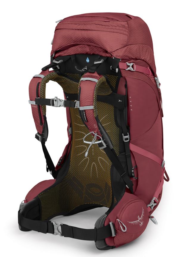 3DC6C215-4223-4DE4-84F2-09B98DFD8952