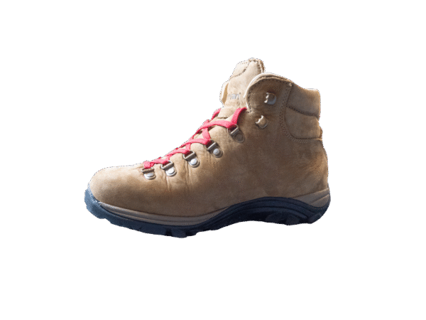 49F4D7B2-42A4-442B-860E-F7945BF3C208