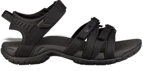 4A334FE5-6078-44E0-8278-D3EDF34C6316