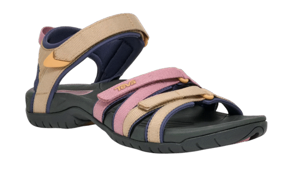 4EDA1513-988A-47ED-B466-E1654D9E173A