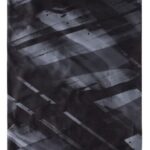 6006381C-069F-4C41-946B-BD28CDCA76A7