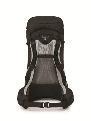 Koseret/Darjeeling Spring Green