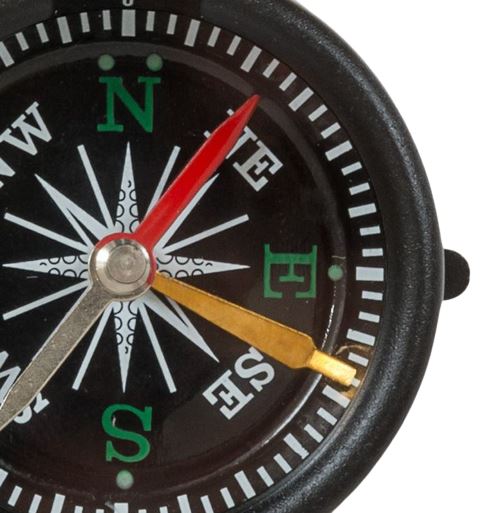 7F979DE9-6F54-415D-A87D-2CEA5E33C477