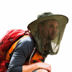 9263FD47-D0B3-4F3F-AD33-55A566654D8E