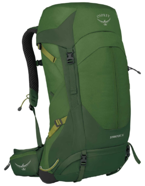 Seaweed/Matcha Green