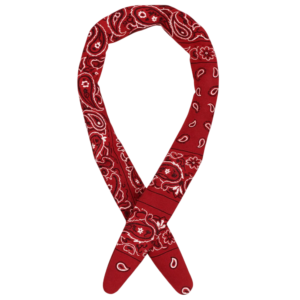 Red Paisley