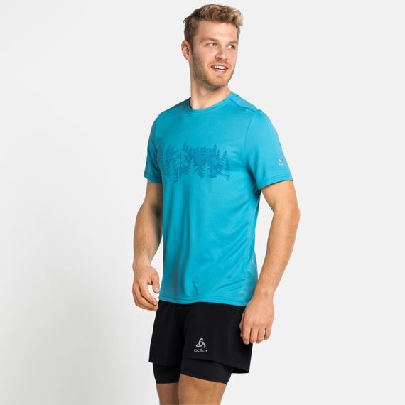 A09ED518-F742-4FB0-9699-EF31CCA0E062