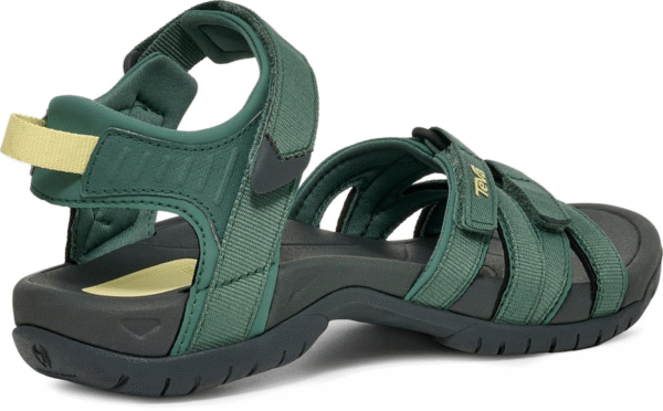 A0FC9FF3-2F06-4B9E-9C6E-286342B4B19B