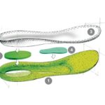 A530501D-8F97-4E2E-BE2F-D9BED71D19EC