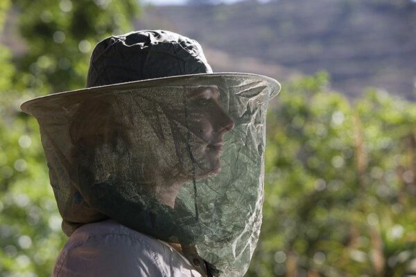 B12A2D36-3B1E-4AFF-B5C0-F07370E5018E