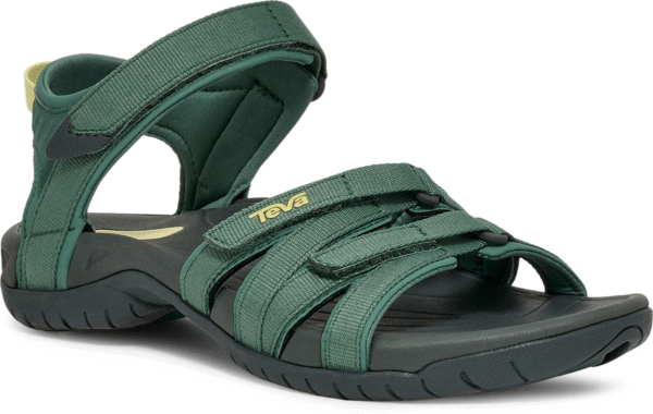 B64D6F8F-D42F-4EF0-AE9D-AFD82C3E05AD