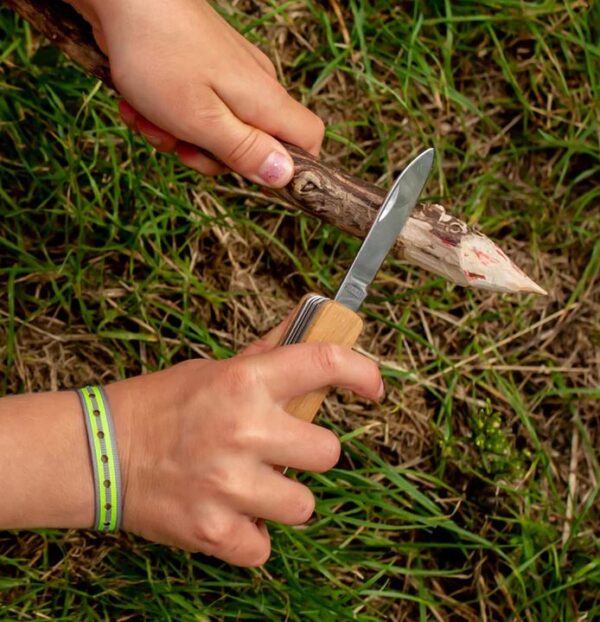 BC78FFF5-4D90-48AA-9688-82934D98298F