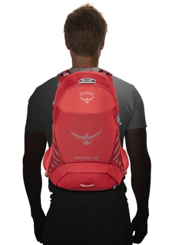 BF182631-ABB1-4FCF-B4C6-5685BE46F118