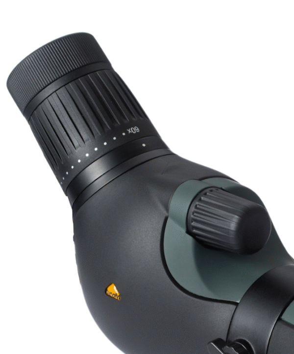 C63710D5-25E5-4D48-92FE-D8FB7F97BE0D