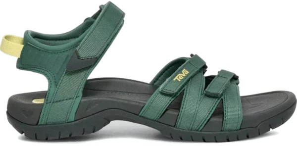 C7EF18EE-F15E-43D8-9019-A574F9055E6E