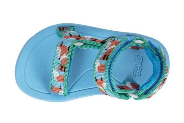 C825AC28-7AFE-498B-9FCF-9A1E17144049