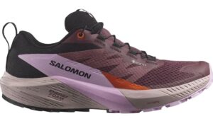 Salomon Sense Ride 5 GTX dameswandelschoen