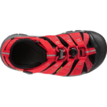 D9315677-57ED-4A73-BDA5-30B992EE17E1