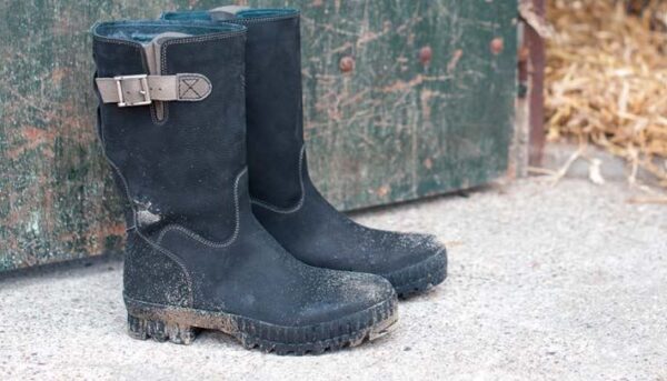 DAEE23B3-AD83-4064-B0FD-BE3B96C32DCF