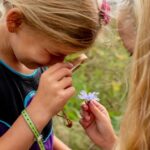 E3AEB1F6-D611-4750-AC10-EA7989B7CCD3