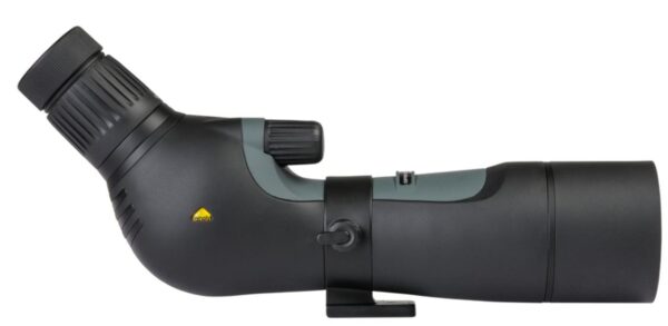 F1BBF799-5A31-4077-8BEC-1BD42F7E5DBD