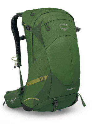 Seaweed/Matcha Green