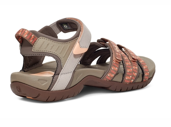 FA59C2A2-980C-4F40-BF20-BC59502701CA