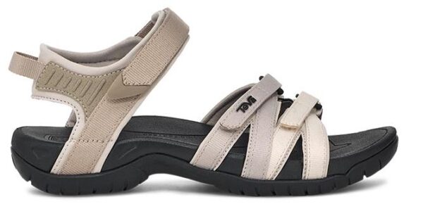 FAD6B2E1-76F6-4EDB-B14D-EA4E1A916CCF