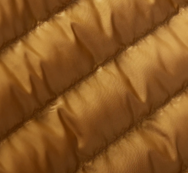 FDF92A1A-EF4D-438C-973E-262B92A78D7D