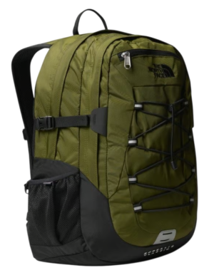 Forest Olive/ TNF Black