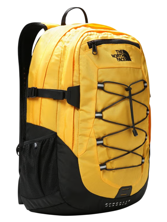 4E9B8CCF-AD94-4687-B981-179A51FD8BD1