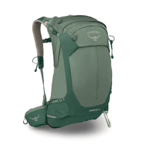 Pine leaf green