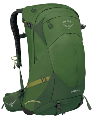 Seaweed/Matcha Green